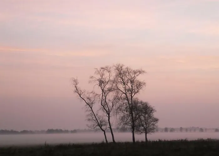 Апартаменты Langenmoor In Der Natur! Abschalten In Der Abgelegenheit! Haustiere Willkommen! *
